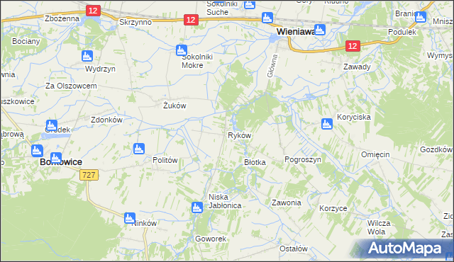 mapa Ryków gmina Wieniawa, Ryków gmina Wieniawa na mapie Targeo