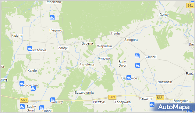 mapa Rynowo gmina Lubowidz, Rynowo gmina Lubowidz na mapie Targeo