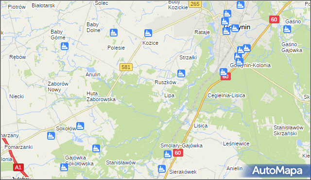 mapa Sałki gmina Gostynin, Sałki gmina Gostynin na mapie Targeo
