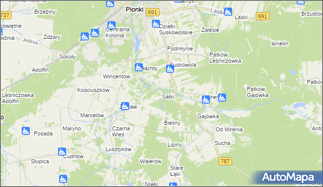 mapa Sałki gmina Pionki, Sałki gmina Pionki na mapie Targeo