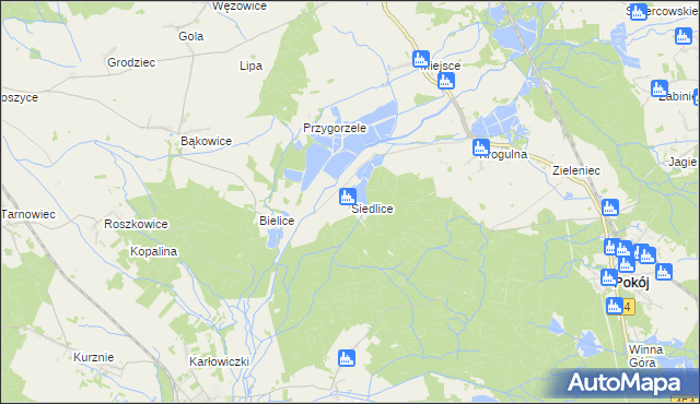 mapa Siedlice gmina Pokój, Siedlice gmina Pokój na mapie Targeo