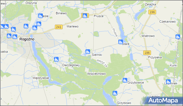 mapa Sierniki gmina Rogoźno, Sierniki gmina Rogoźno na mapie Targeo