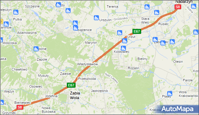 mapa Siestrzeń, Siestrzeń na mapie Targeo