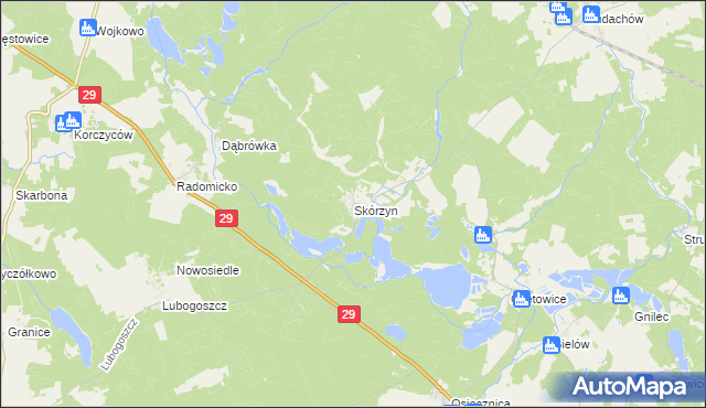 mapa Skórzyn gmina Maszewo, Skórzyn gmina Maszewo na mapie Targeo