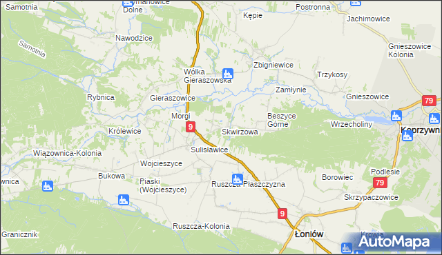 mapa Skwirzowa, Skwirzowa na mapie Targeo