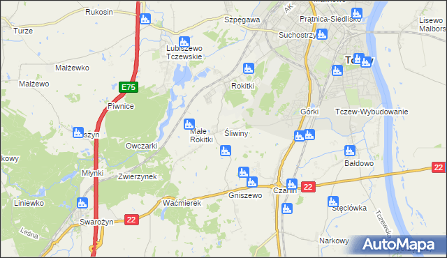 mapa Śliwiny gmina Tczew, Śliwiny gmina Tczew na mapie Targeo