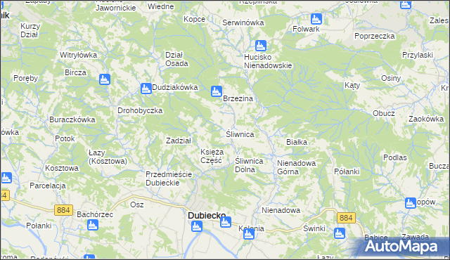 mapa Śliwnica gmina Dubiecko, Śliwnica gmina Dubiecko na mapie Targeo