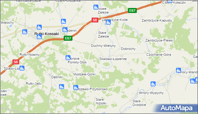 mapa Śliwowo-Łopienite, Śliwowo-Łopienite na mapie Targeo