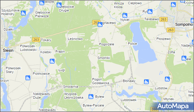 mapa Smolniki gmina Ślesin, Smolniki gmina Ślesin na mapie Targeo