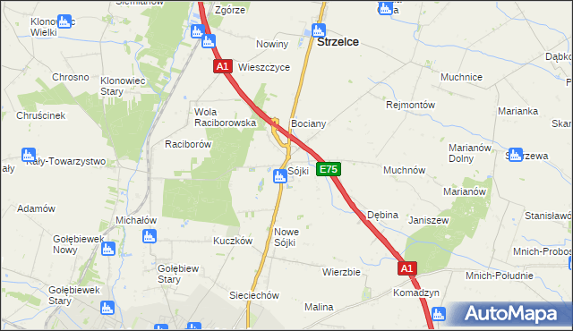 mapa Sójki gmina Strzelce, Sójki gmina Strzelce na mapie Targeo