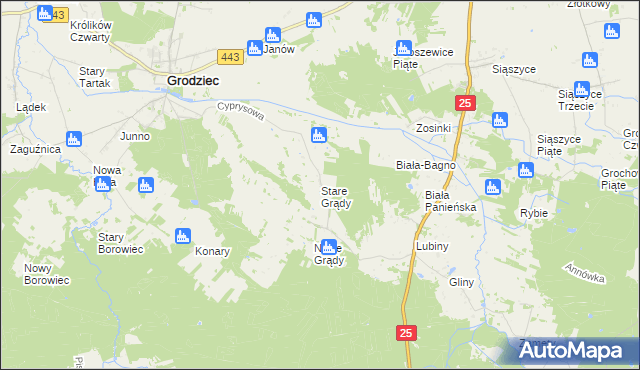 mapa Stare Grądy gmina Grodziec, Stare Grądy gmina Grodziec na mapie Targeo