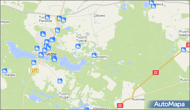 mapa Strzaliny, Strzaliny na mapie Targeo