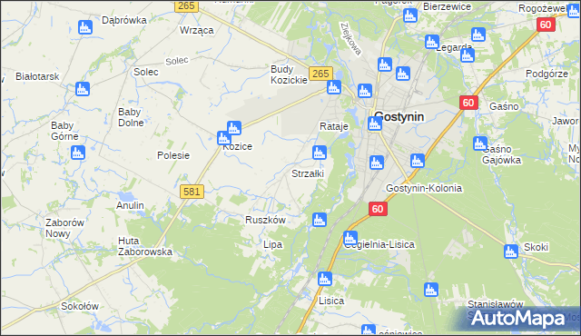 mapa Strzałki gmina Gostynin, Strzałki gmina Gostynin na mapie Targeo