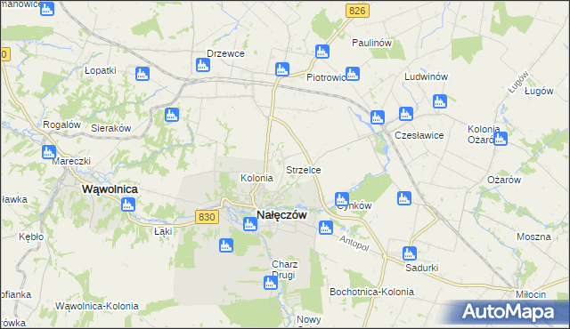 mapa Strzelce gmina Nałęczów, Strzelce gmina Nałęczów na mapie Targeo