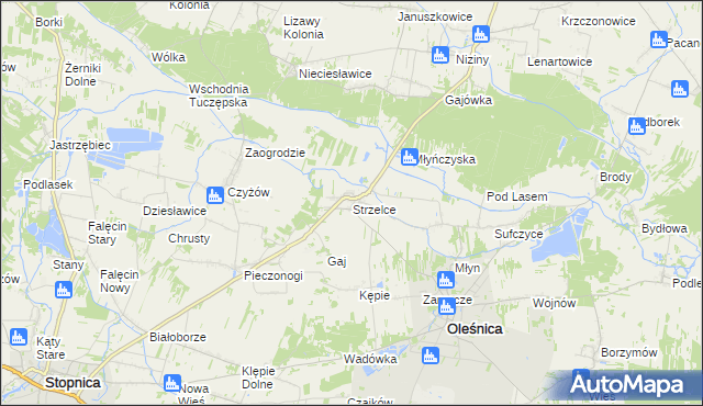 mapa Strzelce gmina Oleśnica, Strzelce gmina Oleśnica na mapie Targeo