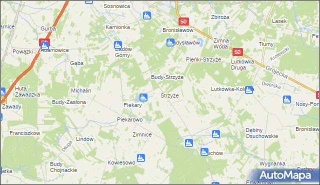 mapa Strzyże gmina Mszczonów, Strzyże gmina Mszczonów na mapie Targeo