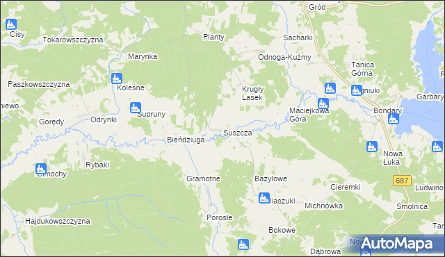 mapa Suszcza, Suszcza na mapie Targeo