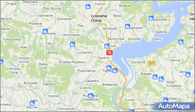 mapa Świdnik gmina Łososina Dolna, Świdnik gmina Łososina Dolna na mapie Targeo