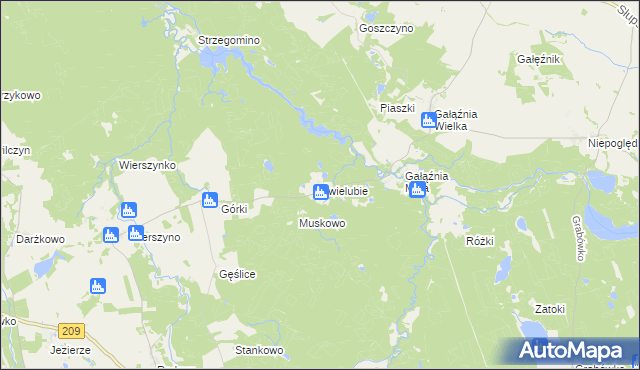 mapa Świelubie gmina Kołczygłowy, Świelubie gmina Kołczygłowy na mapie Targeo