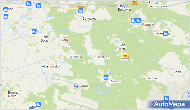 mapa Sworzyce gmina Grodzisk Wielkopolski, Sworzyce gmina Grodzisk Wielkopolski na mapie Targeo