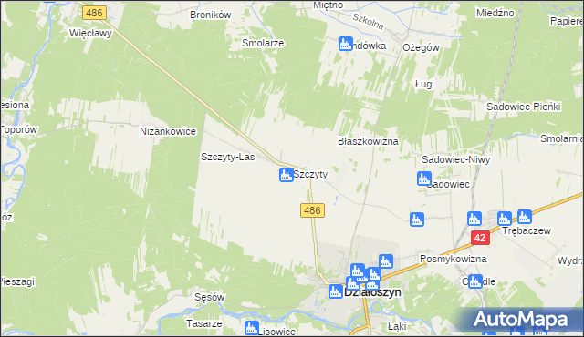 mapa Szczyty gmina Działoszyn, Szczyty gmina Działoszyn na mapie Targeo