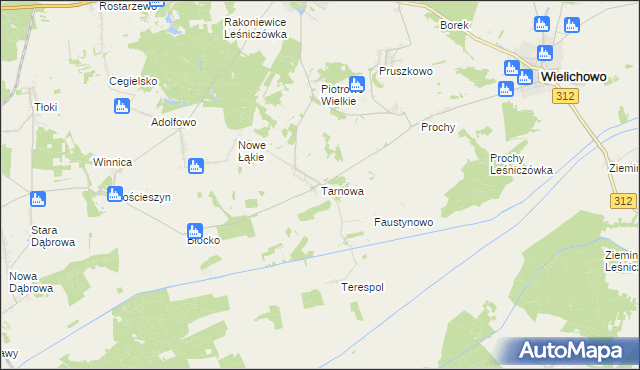 mapa Tarnowa gmina Rakoniewice, Tarnowa gmina Rakoniewice na mapie Targeo