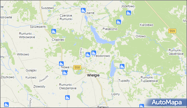 mapa Teodorowo gmina Wielgie, Teodorowo gmina Wielgie na mapie Targeo