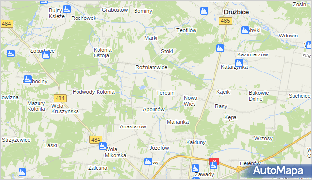mapa Teresin gmina Drużbice, Teresin gmina Drużbice na mapie Targeo