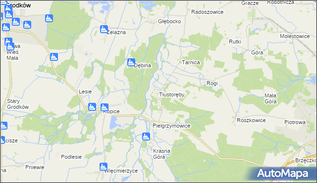 mapa Tłustoręby, Tłustoręby na mapie Targeo