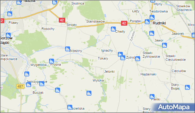 mapa Tokary gmina Praszka, Tokary gmina Praszka na mapie Targeo