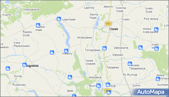 mapa Tomaszewo gmina Osiek, Tomaszewo gmina Osiek na mapie Targeo