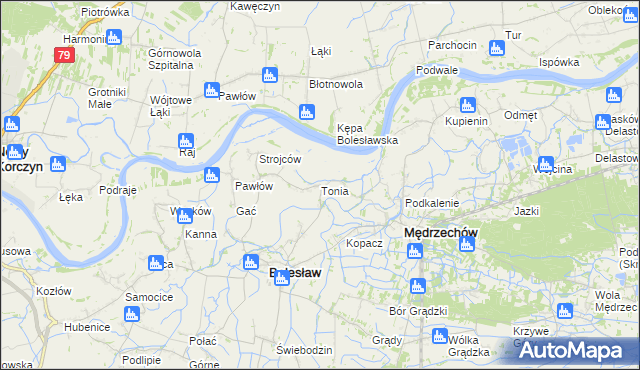 mapa Tonia gmina Bolesław, Tonia gmina Bolesław na mapie Targeo