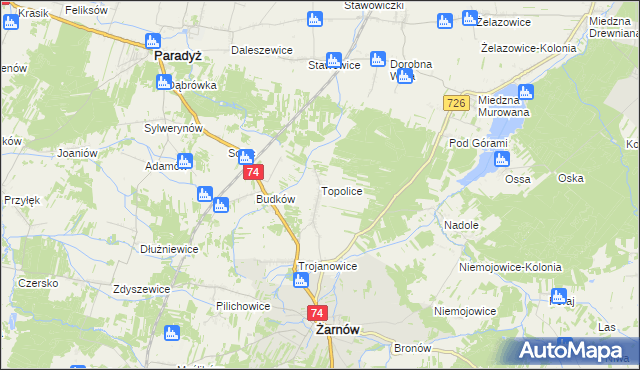 mapa Topolice gmina Żarnów, Topolice gmina Żarnów na mapie Targeo