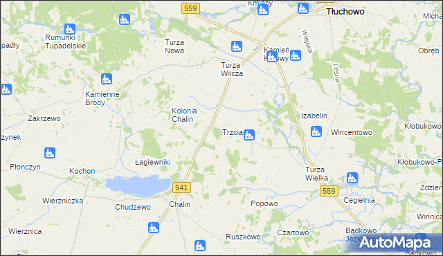 mapa Trzcianka gmina Tłuchowo, Trzcianka gmina Tłuchowo na mapie Targeo