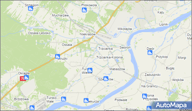 mapa Trzcianka-Kolonia gmina Osiek, Trzcianka-Kolonia gmina Osiek na mapie Targeo