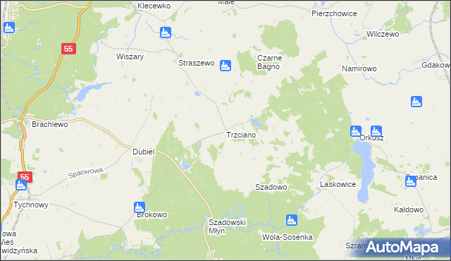 mapa Trzciano gmina Ryjewo, Trzciano gmina Ryjewo na mapie Targeo