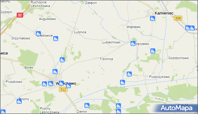mapa Trzcinica gmina Wielichowo, Trzcinica gmina Wielichowo na mapie Targeo