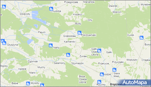 mapa Trzcinka gmina Brąszewice, Trzcinka gmina Brąszewice na mapie Targeo