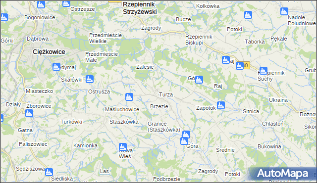mapa Turza gmina Rzepiennik Strzyżewski, Turza gmina Rzepiennik Strzyżewski na mapie Targeo