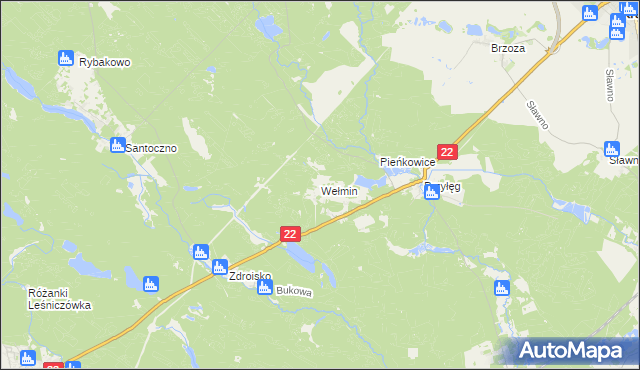 mapa Wełmin, Wełmin na mapie Targeo