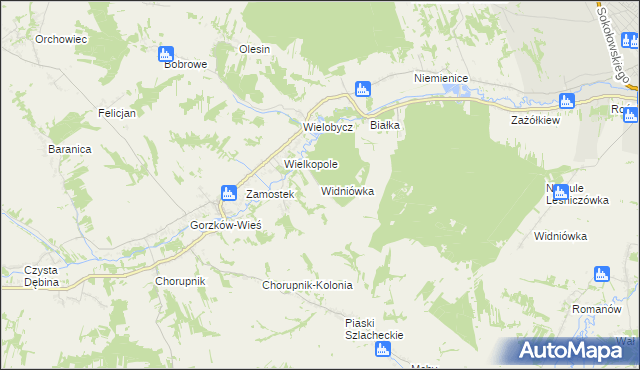 mapa Widniówka gmina Gorzków, Widniówka gmina Gorzków na mapie Targeo