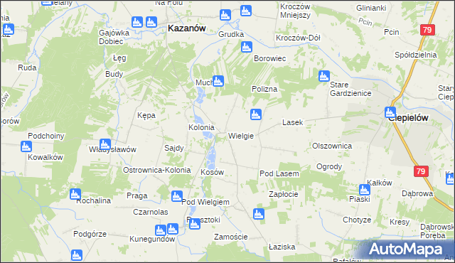 mapa Wielgie gmina Ciepielów, Wielgie gmina Ciepielów na mapie Targeo