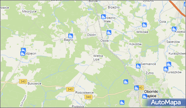 mapa Wielka Lipa, Wielka Lipa na mapie Targeo
