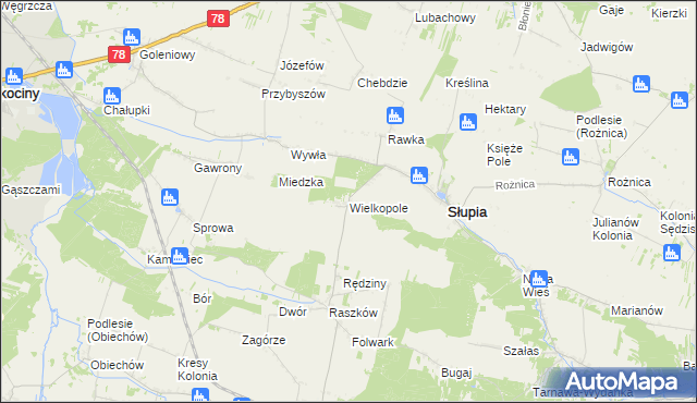 mapa Wielkopole gmina Słupia, Wielkopole gmina Słupia na mapie Targeo