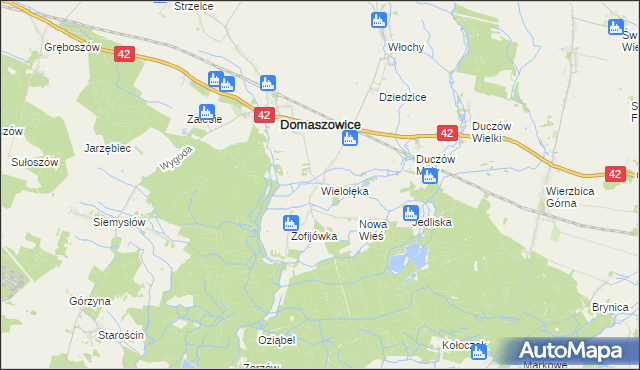 mapa Wielołęka gmina Domaszowice, Wielołęka gmina Domaszowice na mapie Targeo