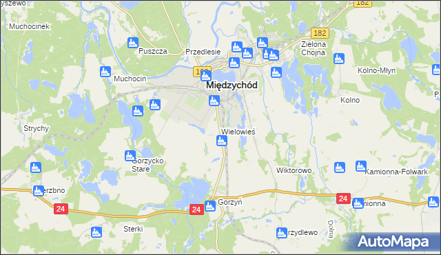 mapa Wielowieś gmina Międzychód, Wielowieś gmina Międzychód na mapie Targeo