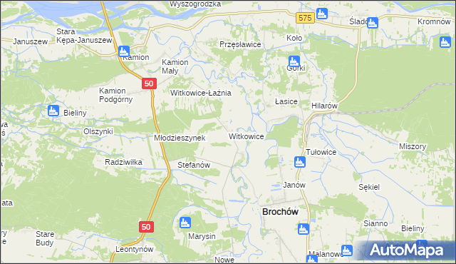 mapa Witkowice gmina Młodzieszyn, Witkowice gmina Młodzieszyn na mapie Targeo