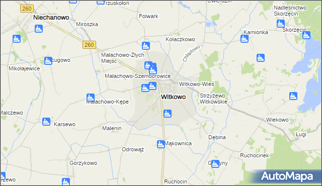mapa Witkowo powiat gnieźnieński, Witkowo powiat gnieźnieński na mapie Targeo