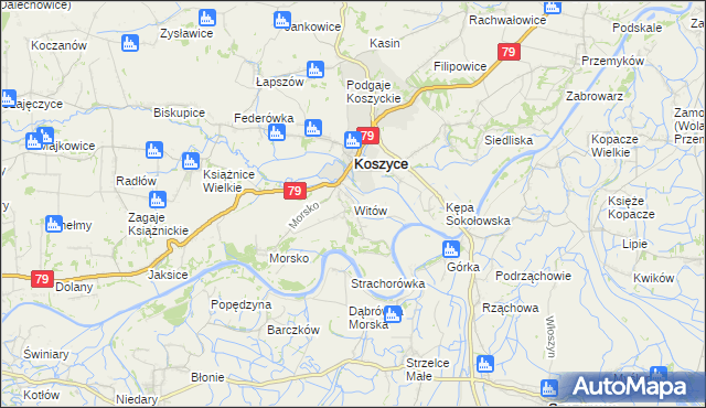 mapa Witów gmina Koszyce, Witów gmina Koszyce na mapie Targeo