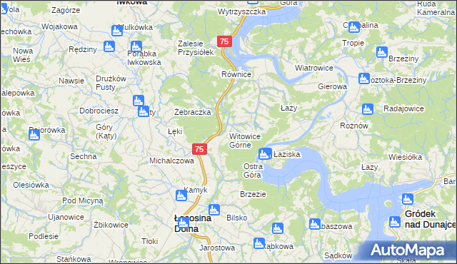 mapa Witowice Górne, Witowice Górne na mapie Targeo